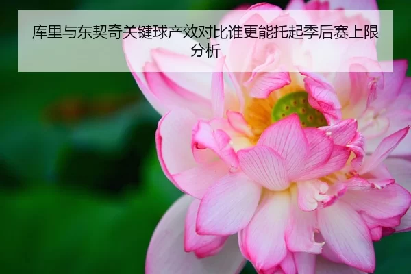 库里与东契奇关键球产效对比谁更能托起季后赛上限分析