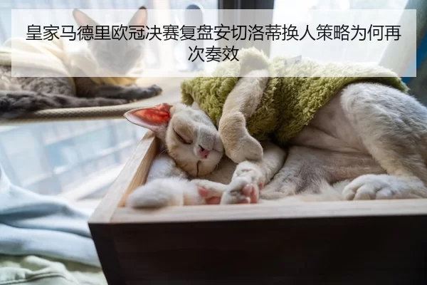 皇家马德里欧冠决赛复盘安切洛蒂换人策略为何再次奏效