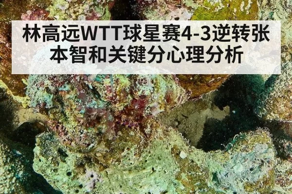 林高远WTT球星赛4-3逆转张本智和关键分心理分析