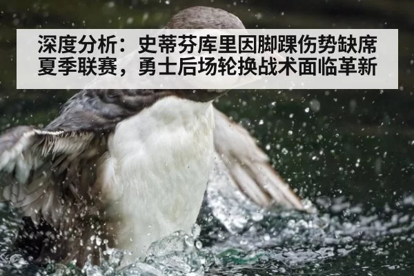 深度分析：史蒂芬库里因脚踝伤势缺席夏季联赛，勇士后场轮换战术面临革新