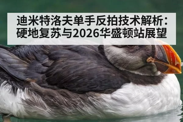 迪米特洛夫单手反拍技术解析：硬地复苏与2026华盛顿站展望